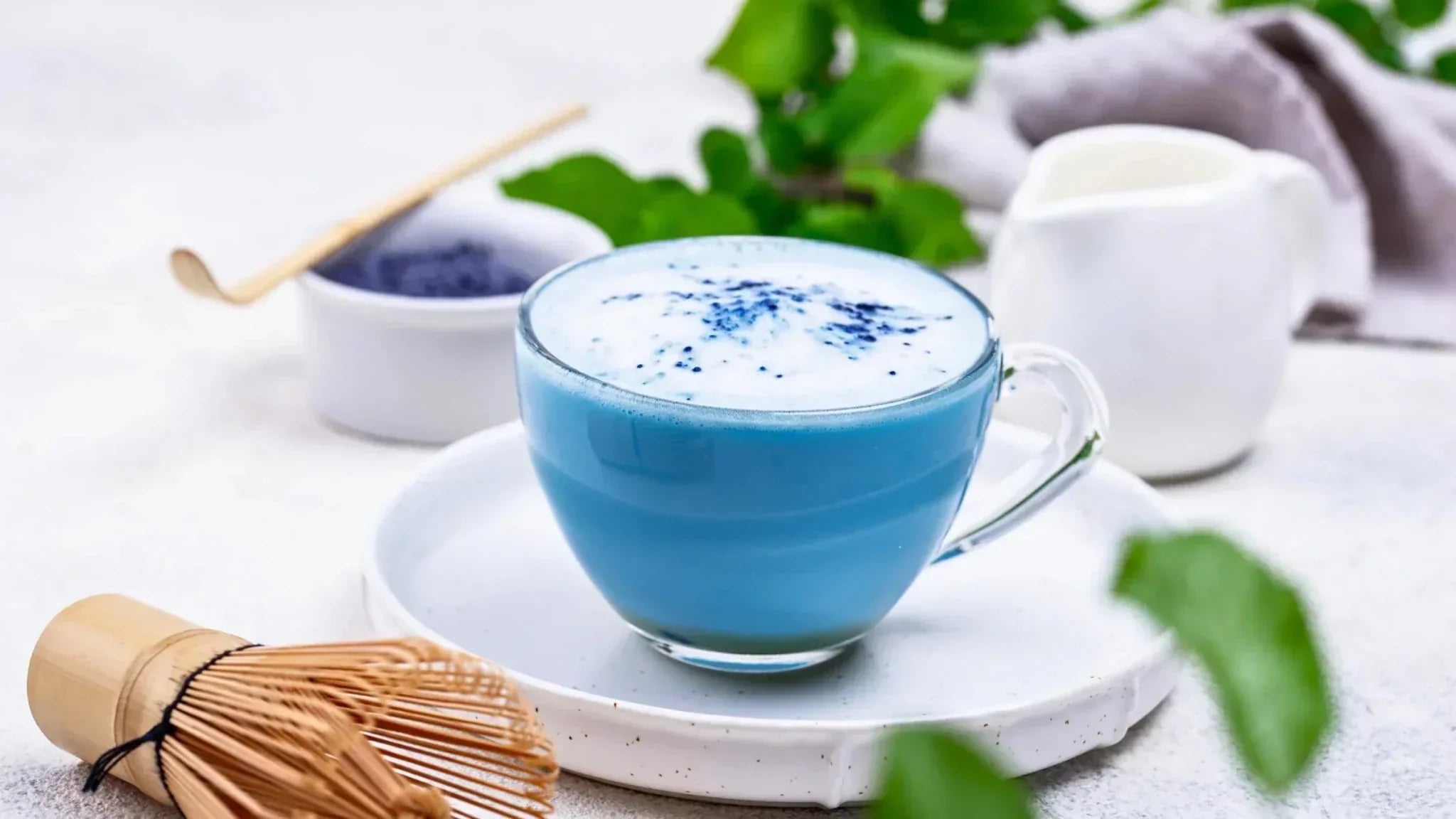 Blue Majik Eggnog®: A Festive Superfood Twist | E3Live Australia