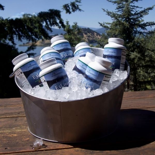 Buckets of E3Live products on ice with a scenic background at Klamath Lake