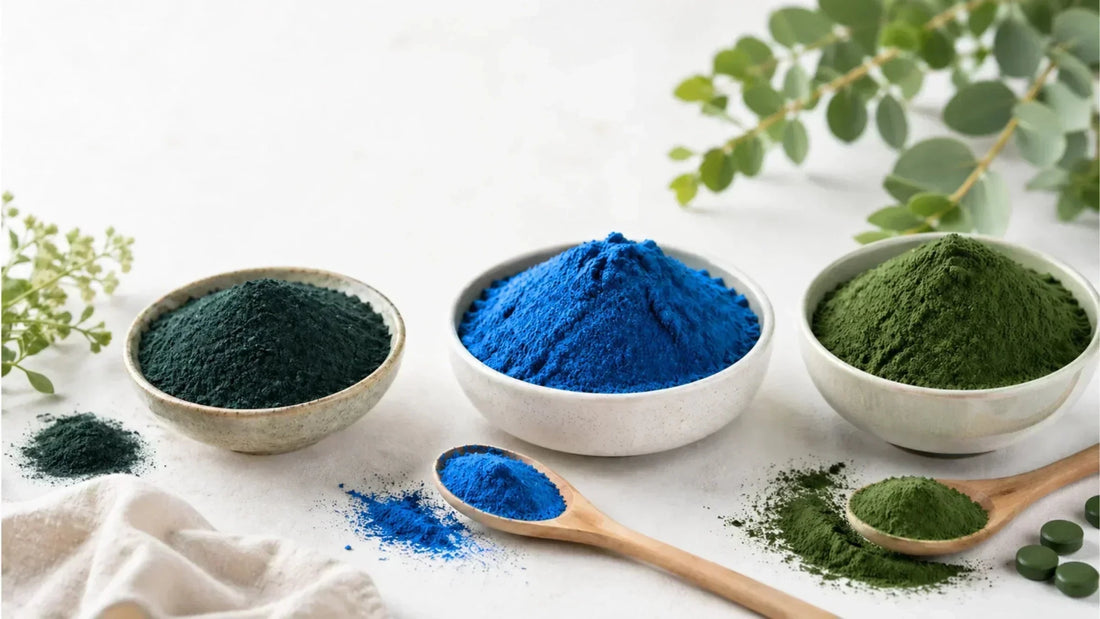 AFA, spirulina and chlorella powders shown side by side for comparison