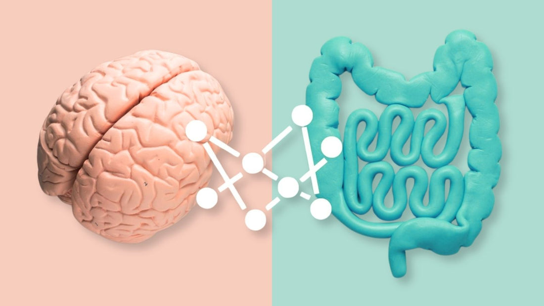 Unlocking The Gut-Brain Connection