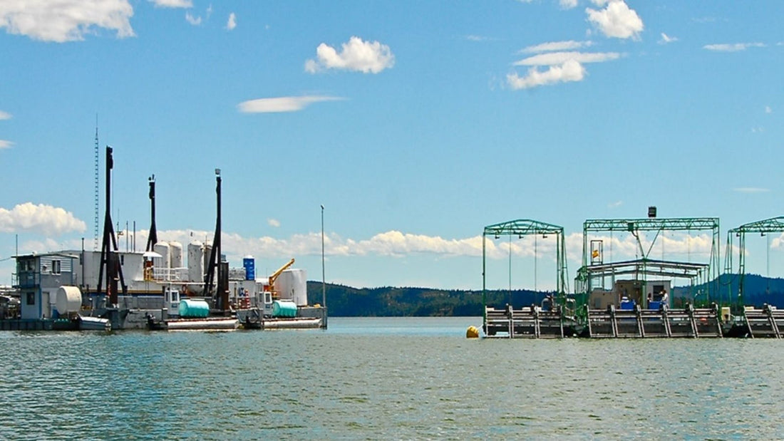 Harvesting E3Live's AFA