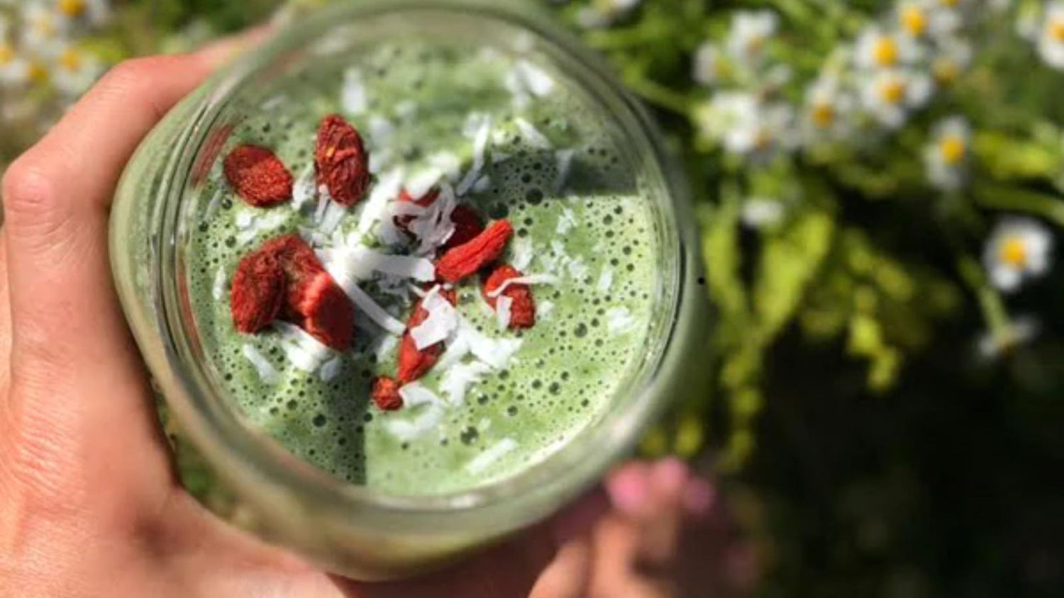 Immunity Boosting Smoothie Recipe with E3AFA powder.