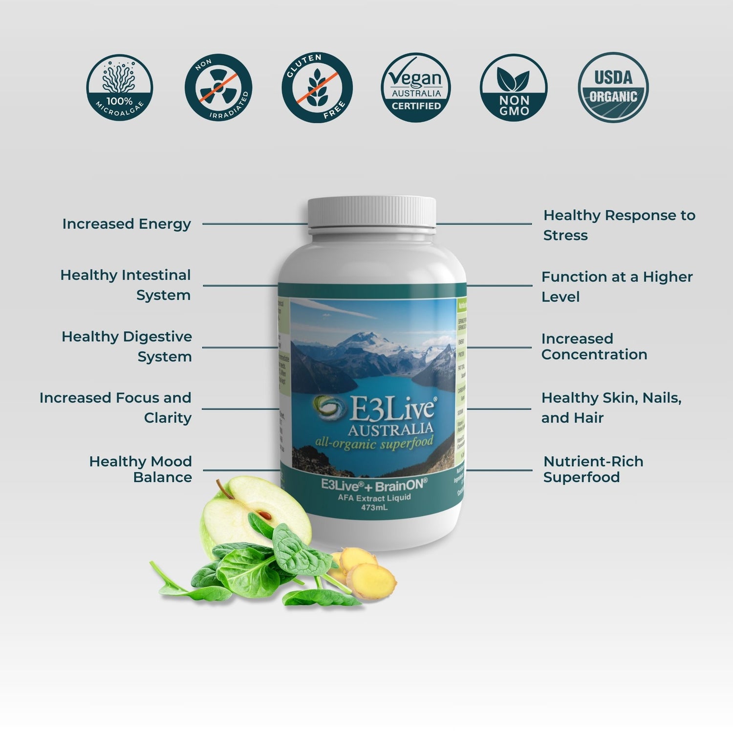 Promotional image for BrainON Frozen Liquid Suprfood. Features a white bottle with a blue mountain design. Benefits highlighted include increased energy, healthy intestinal and digestive systems, increased focus and clarity, healthy mood balance, healthy response to stress, functioning at a higher level, increased concentration, healthy skin, nails, and hair, and nutrient-rich superfood. Certifications include 100% Microalgae, Non-irradiated, Gluten Free, Vegan, Non-GMO, USDA.