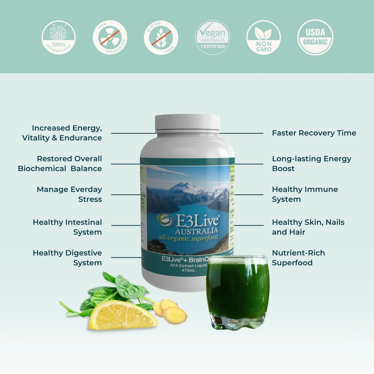 E3Live® Superfoods BrainON® Liquid 473mL Frozen Liquid Product E3Live Australia 