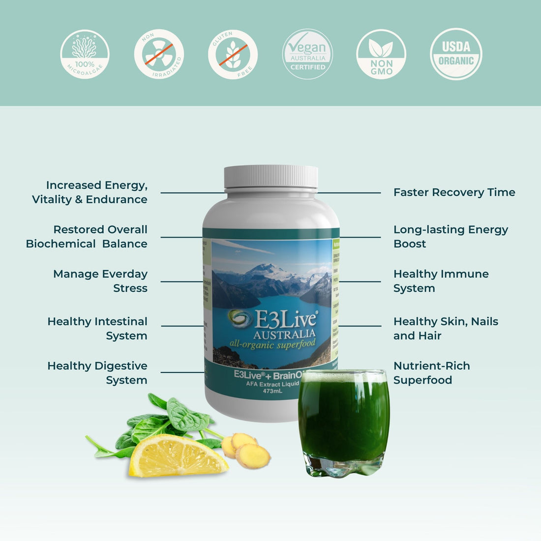 Promotional image for BrainON Frozen Liquid Suprfood. Features a white bottle with a blue mountain design. Benefits highlighted include increased energy, healthy intestinal and digestive systems, increased focus and clarity, healthy mood balance, healthy response to stress, functioning at a higher level, increased concentration, healthy skin, nails, and hair, and nutrient-rich superfood. Certifications include 100% Microalgae, Non-irradiated, Gluten Free, Vegan, Non-GMO, USDA.