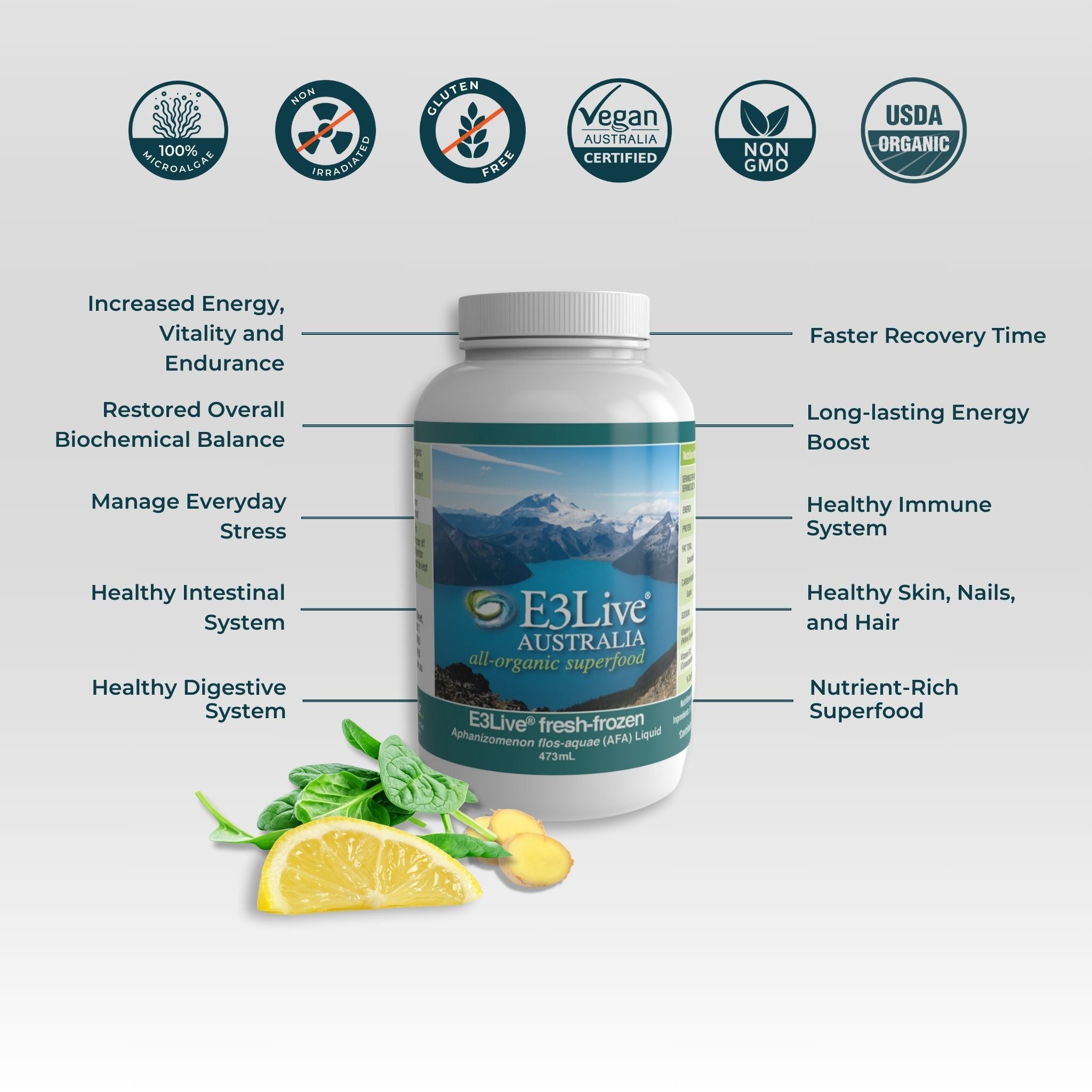 Promotional image for E3Live Frozen Liquid Superfood. Features a white bottle with a blue mountain design.  Benefits highlighted include increased energy, vitality, and endurance; restored overall biochemical balance; managing everyday stress; healthy intestinal and digestive systems; faster recovery time; long-lasting energy boost; healthy immune system;  nutrient-rich superfood. Certifications include 100% Microalgae, Non-irradiated, Gluten Free, Vegan, Non-GMO and USDA.