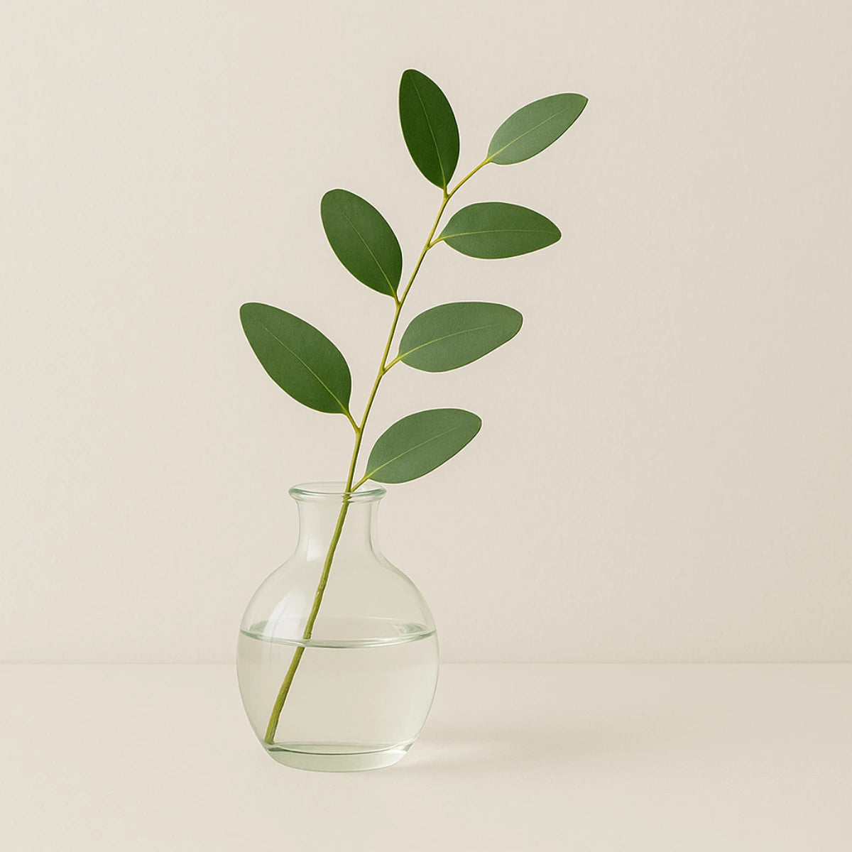 Clear glass vase with a branch of green leaves on a beige background
