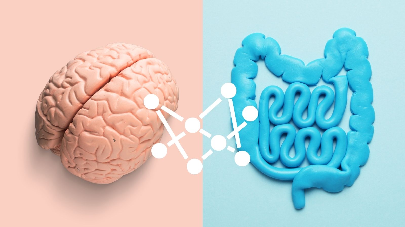 Feature image for the blog post about the Gut-Brain Connection.