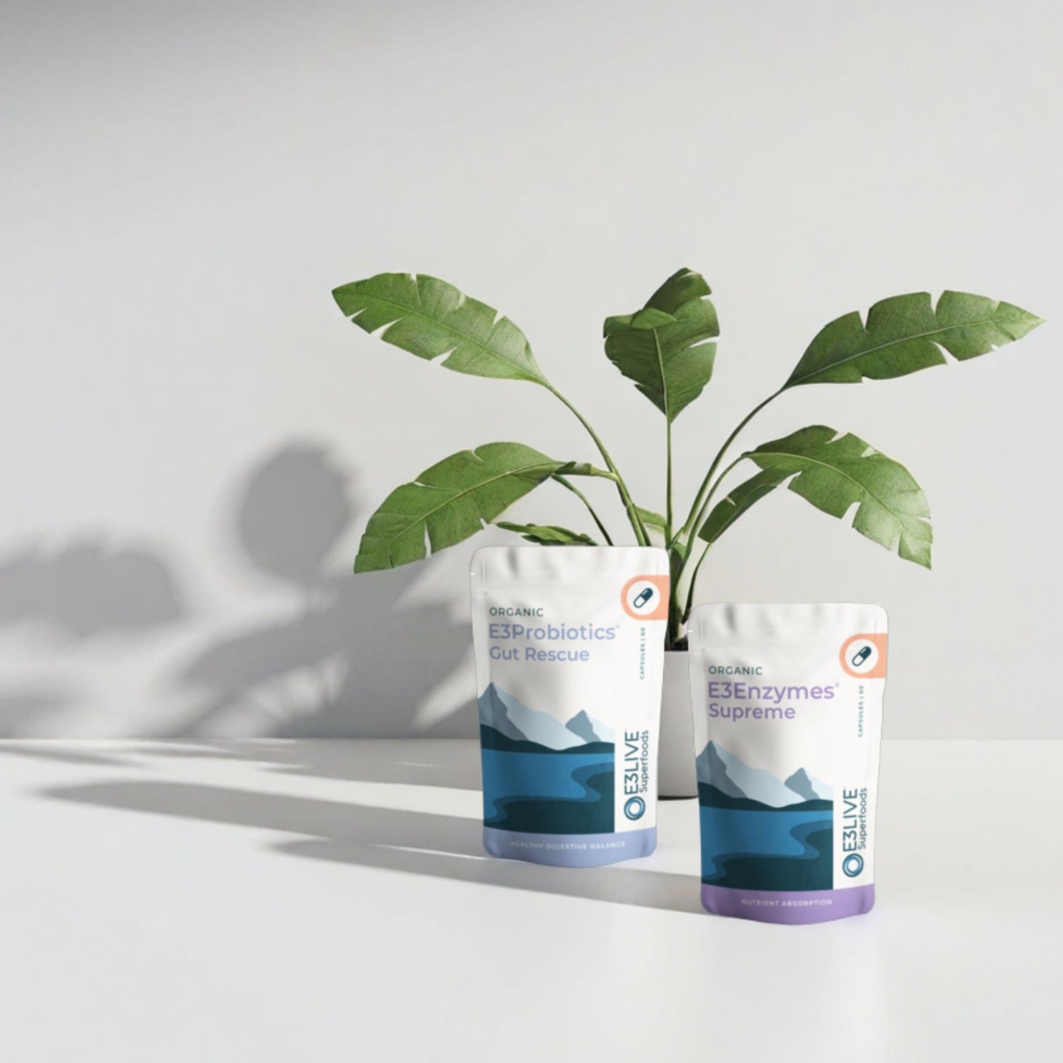 Two pouches of E3Live Superfoods products—"E3Probiotics Gut Rescue" (30ct) and "E3Enzymes Supreme" organic capsules (60ct)—are displayed side by side on a white surface with a green leafy plant in the background. The pouches feature a calming mountain and lake design in blue tones with capsule iconson the top right . The E3Probiotics pouch highlights "Healthy Digestive Balance," while the E3Enzymes pouch notes "Nutrient Absorption." The setting is bright and minimal, with plant shadows cast on the wall.