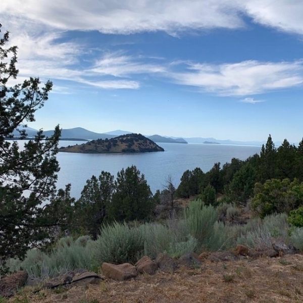 Scenic view of a lake with an island and trees on a clear day at Upper Klamath Lake